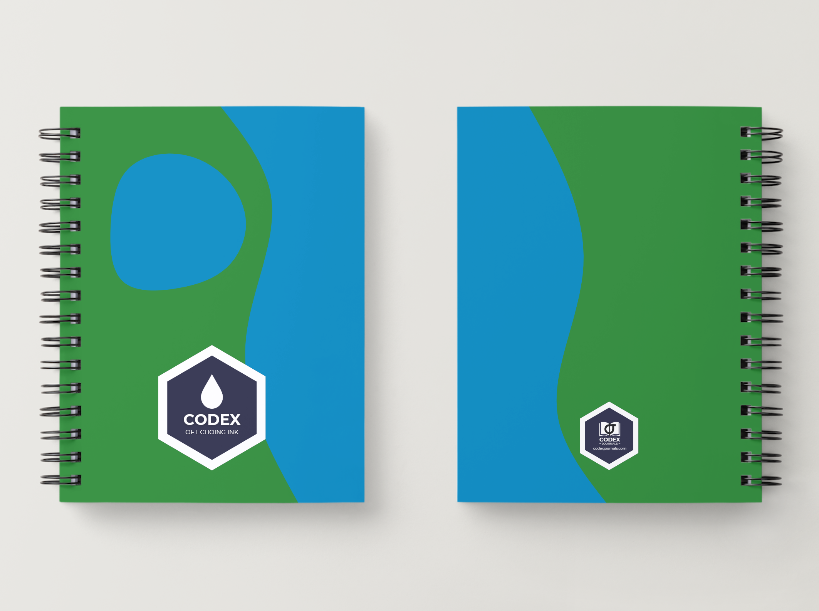 Codex Journal Codex of Echoing Ink – designed to help Lorcana players reflect on strategy and deck performance